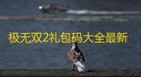 极无双2礼包码大全最新2022